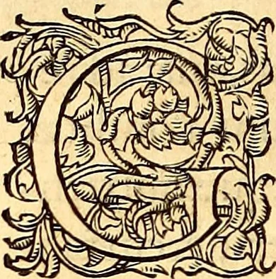 An illustration from Gvlielmi Rondeletii ... Libri de piscibus marinis, in quibus veræ piscium effigies expressæ sunt .., 1554, leaf 89