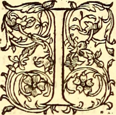An illustration from Gvlielmi Rondeletii ... Libri de piscibus marinis, in quibus veræ piscium effigies expressæ sunt .., 1554, leaf 91