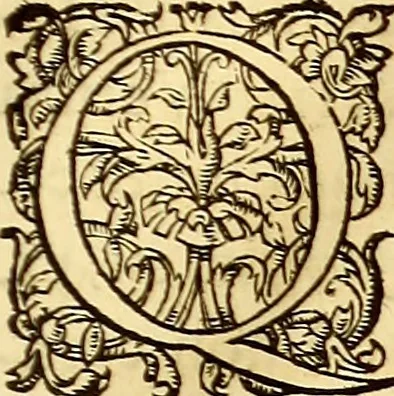 An illustration from Gvlielmi Rondeletii ... Libri de piscibus marinis, in quibus veræ piscium effigies expressæ sunt .., 1554, leaf 94