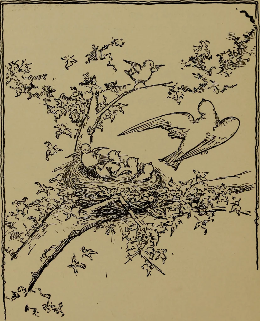 An illustration from Gymnastic stories and plays for primary schools; physical excercises for the first two years of school, 1898, leaf 36