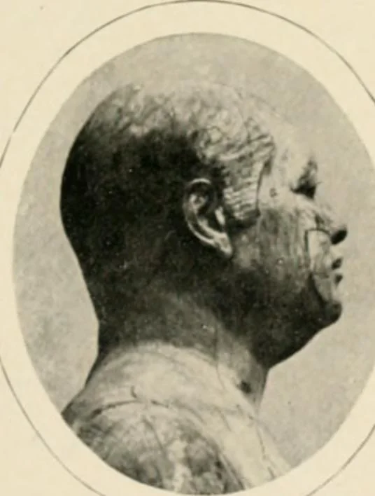 An illustration from Égypte, 1912, leaf 10