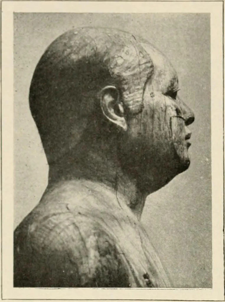 An illustration from Égypte, 1912, leaf 101
