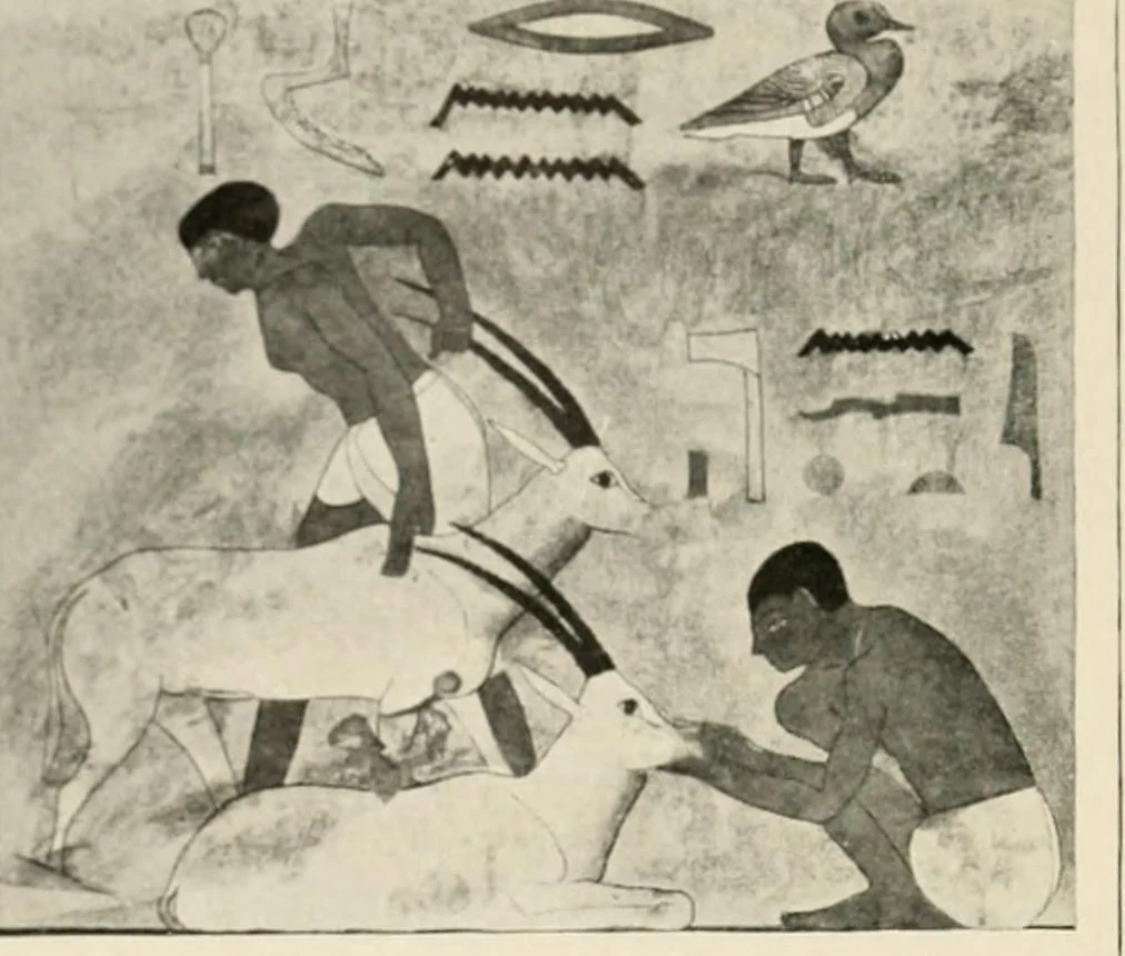 An illustration from Égypte, 1912, leaf 125