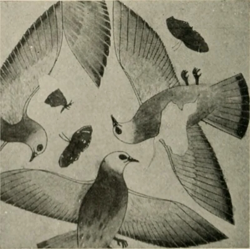 An illustration from Égypte, 1912, leaf 165