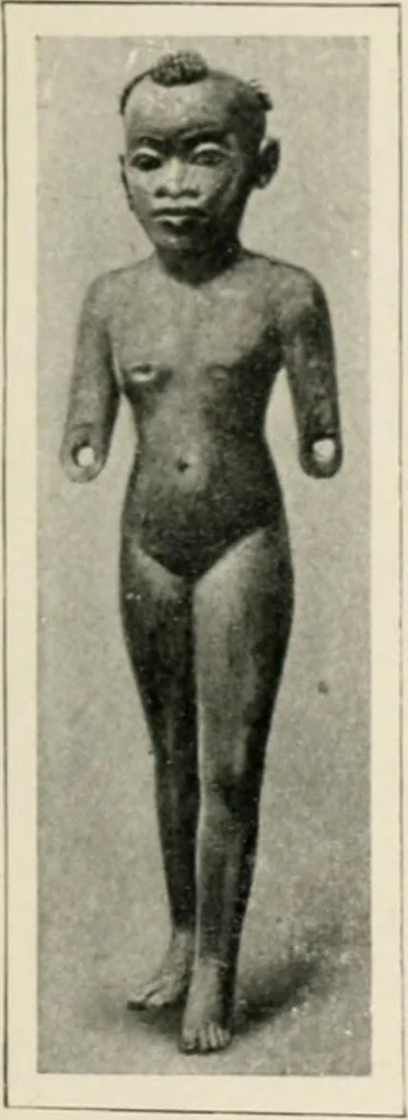 An illustration from Égypte, 1912, leaf 224
