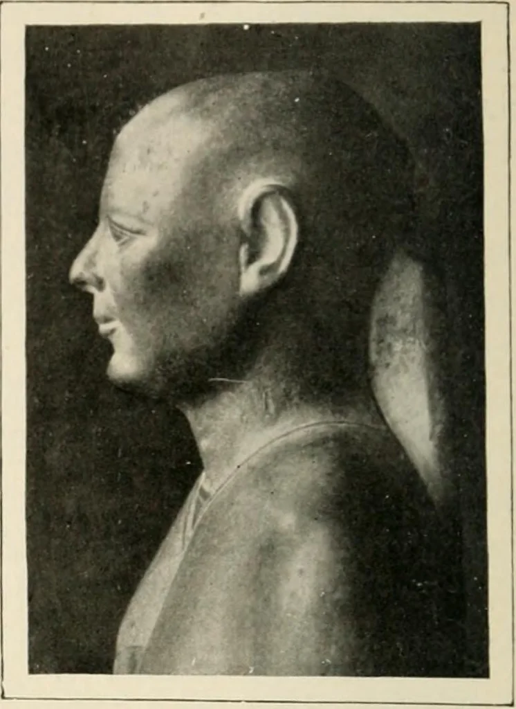 An illustration from Égypte, 1912, leaf 269