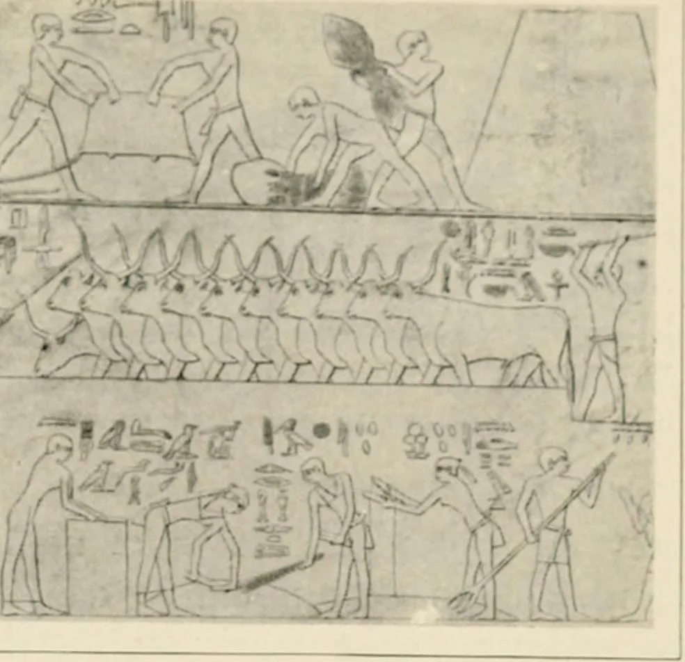 An illustration from Égypte, 1912, leaf 28
