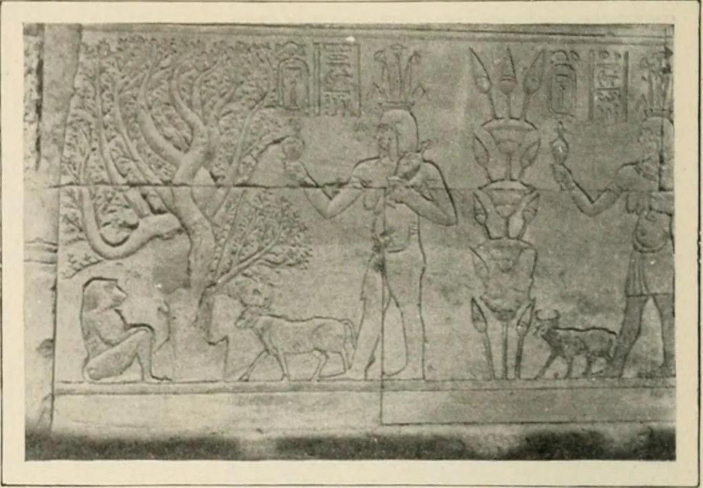 An illustration from Égypte, 1912, leaf 293