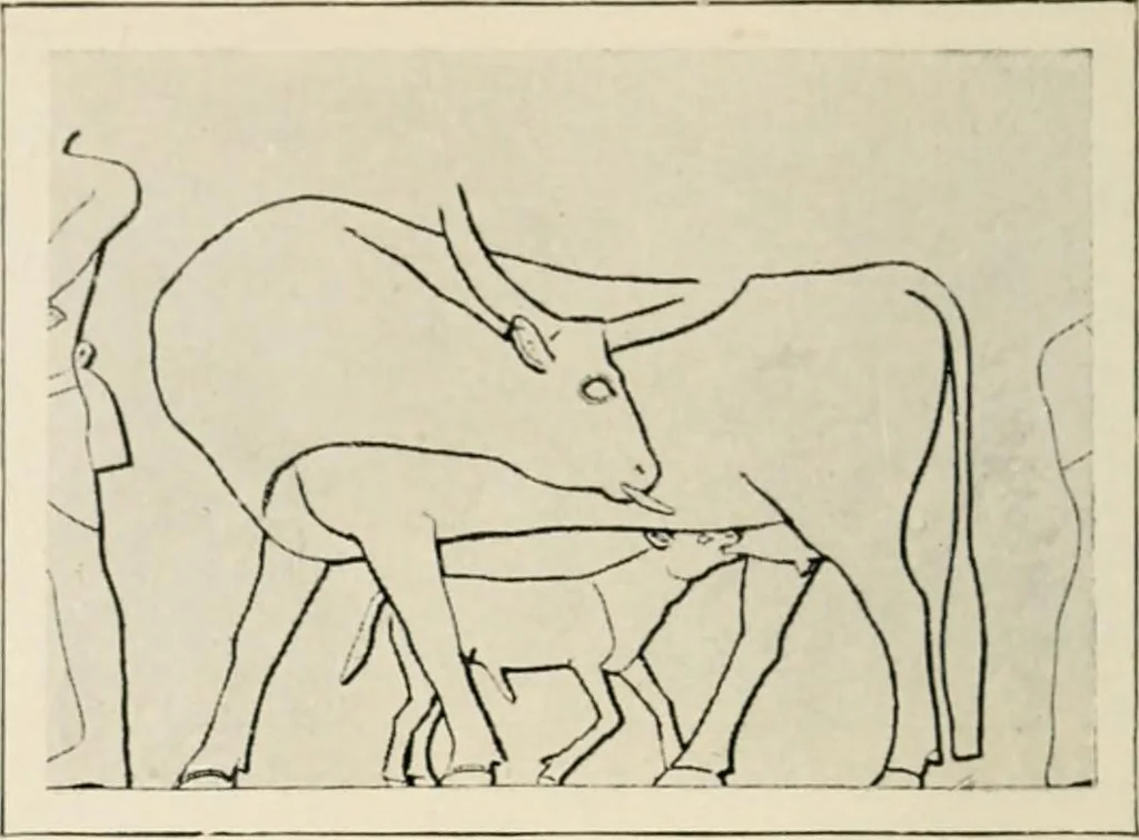 An illustration from Égypte, 1912, leaf 81