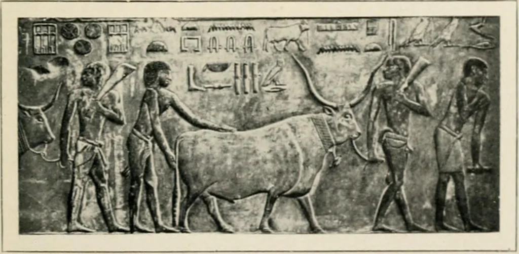 An illustration from Égypte, 1912, leaf 82