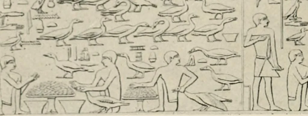 An illustration from Égypte, 1912, leaf 85