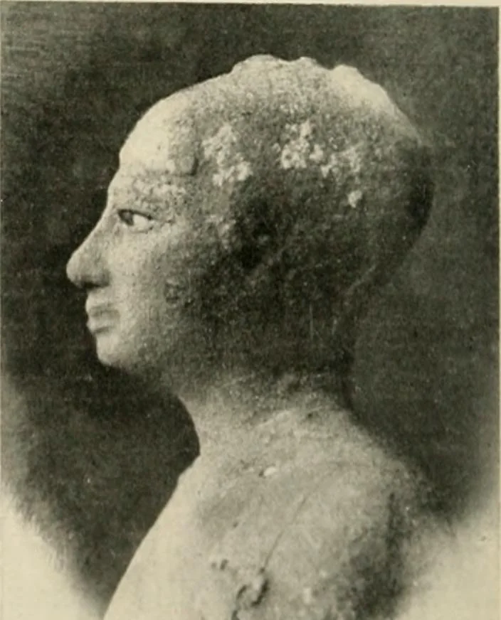 An illustration from Égypte, 1912, leaf 91