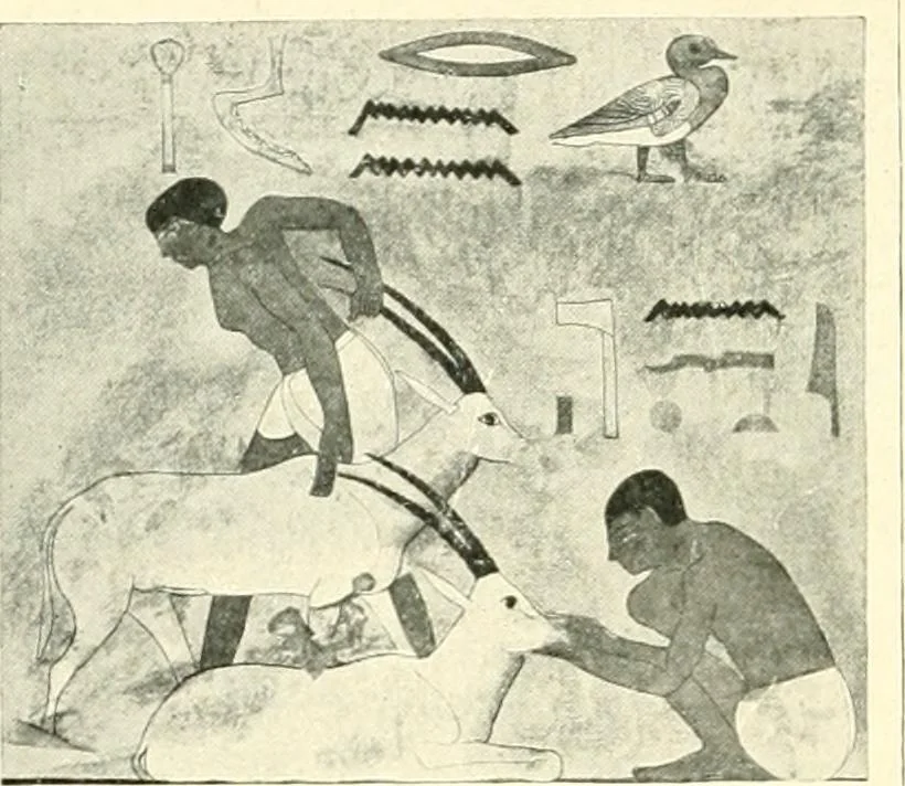 An illustration from Égypte, 1911, leaf 126