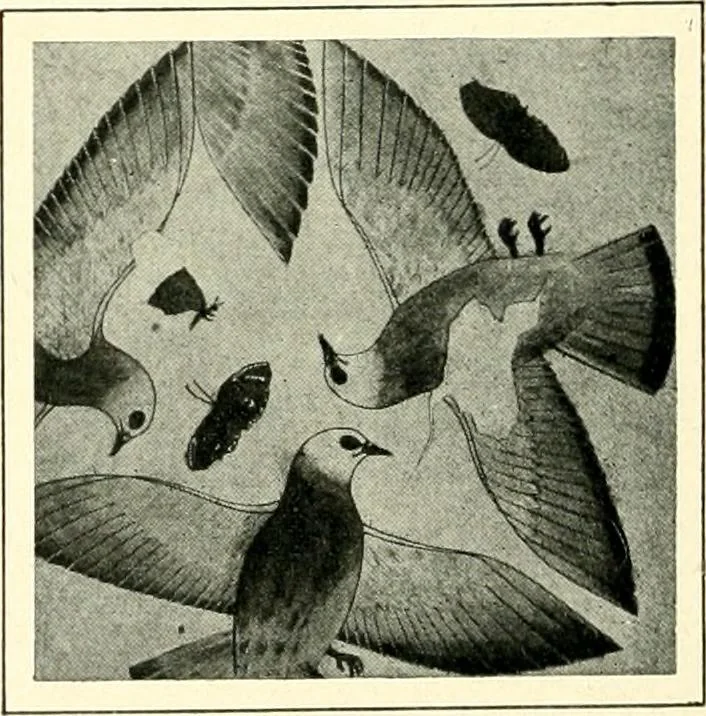 An illustration from Égypte, 1911, leaf 166