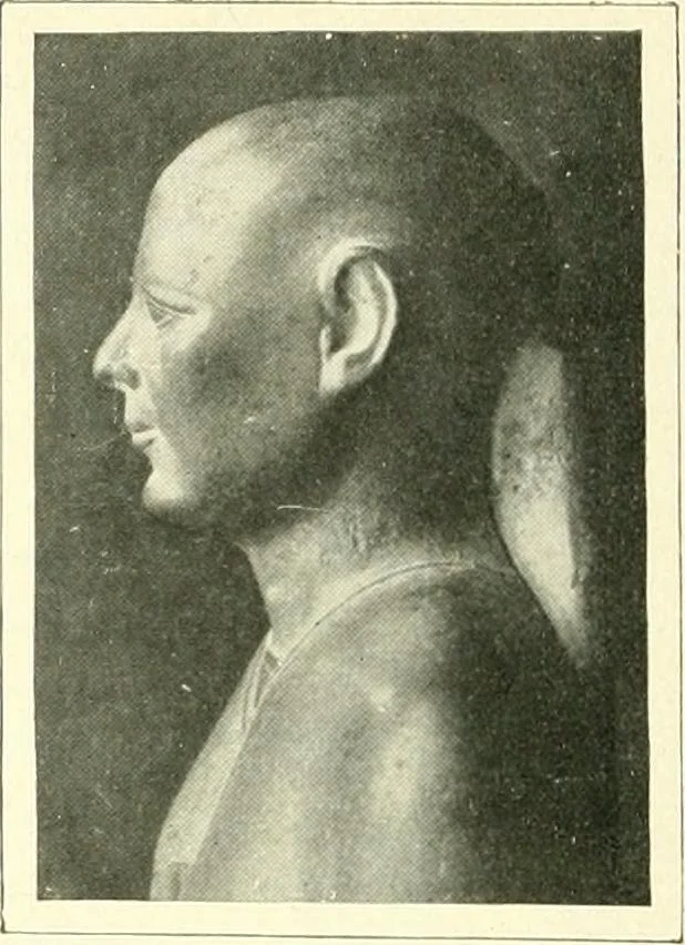 An illustration from Égypte, 1911, leaf 272