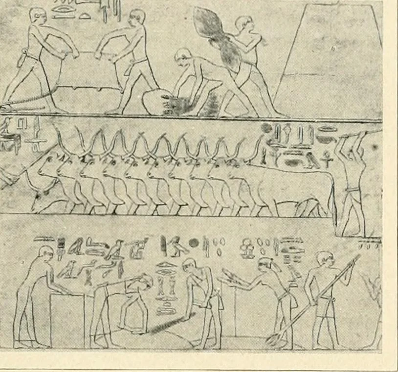 An illustration from Égypte, 1911, leaf 29
