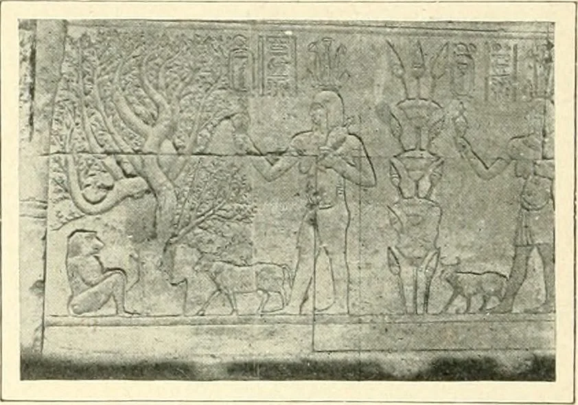 An illustration from Égypte, 1911, leaf 296