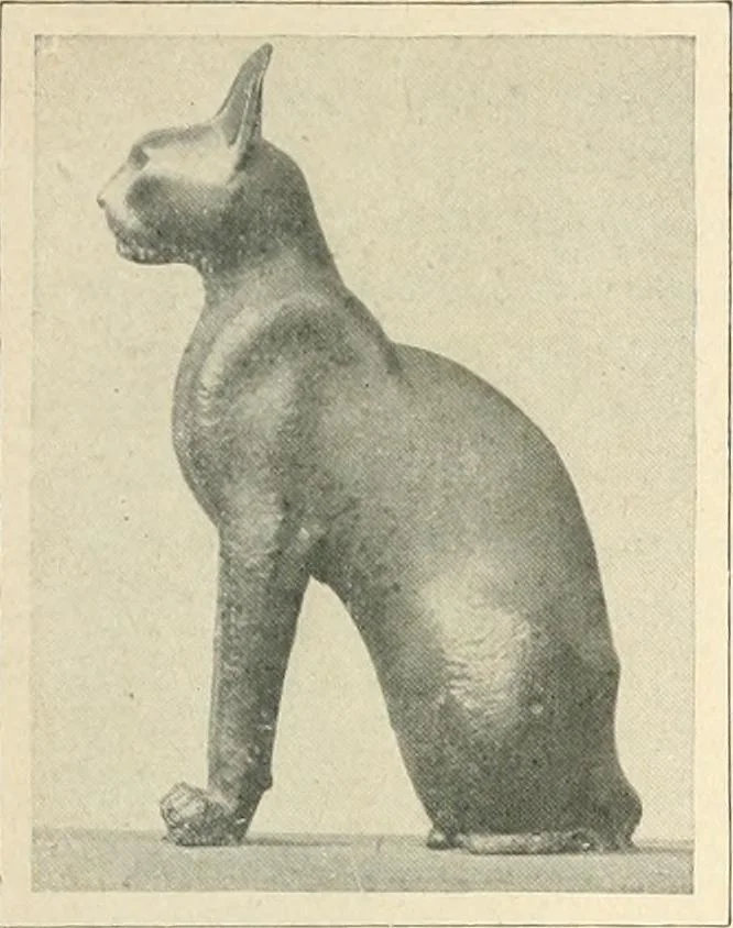 An illustration from Égypte, 1911, leaf 311
