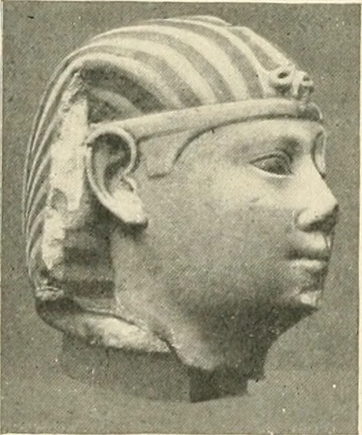 An illustration from Égypte, 1911, leaf 313