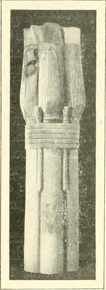 An illustration from Égypte, 1911, leaf 70