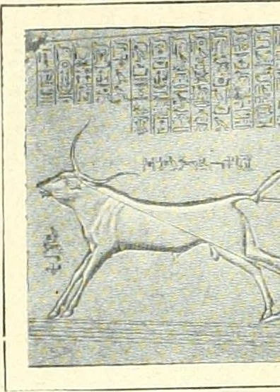 An illustration from Égypte, 1911, leaf 72