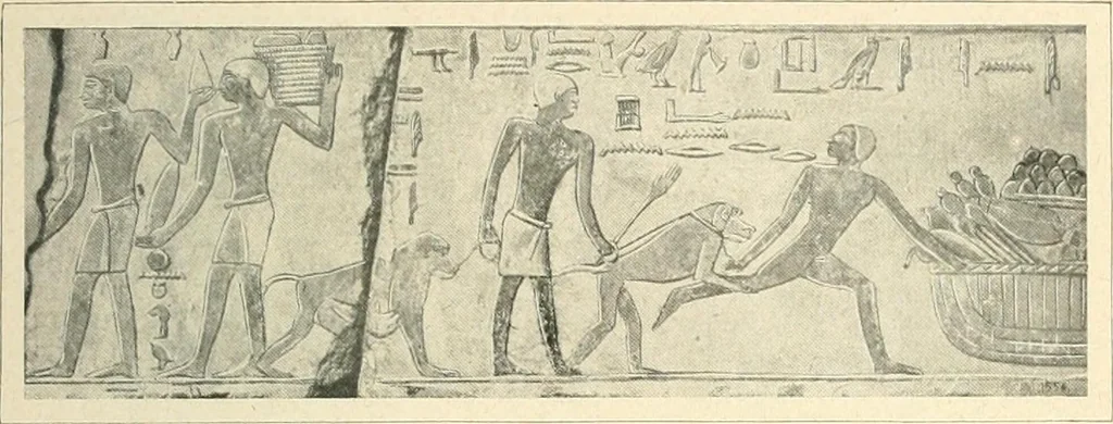 An illustration from Égypte, 1911, leaf 81