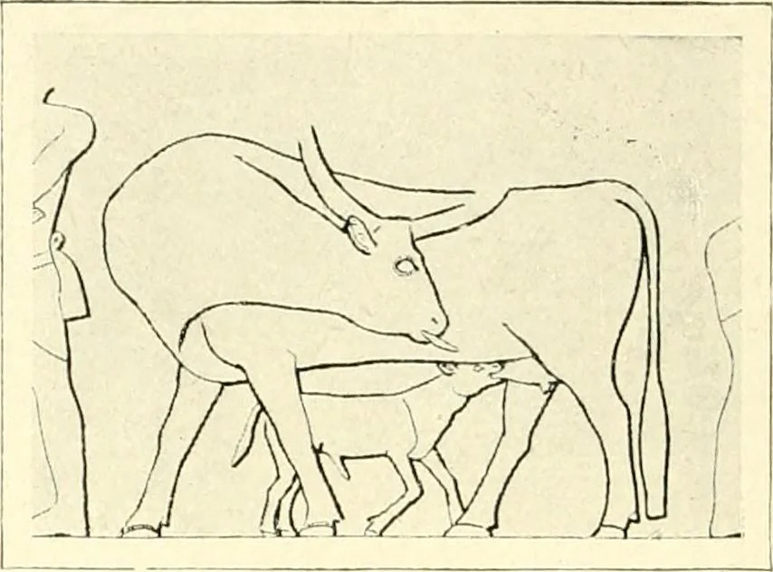 An illustration from Égypte, 1911, leaf 82