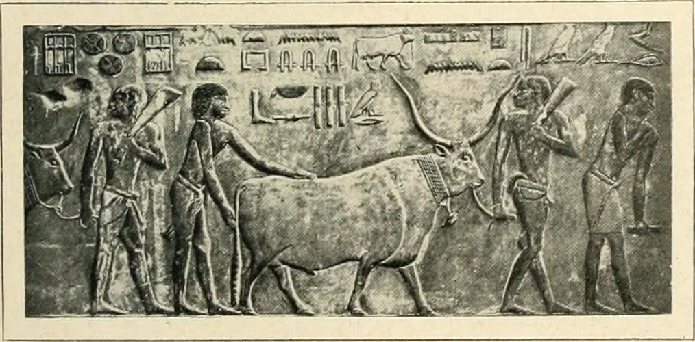 An illustration from Égypte, 1911, leaf 83