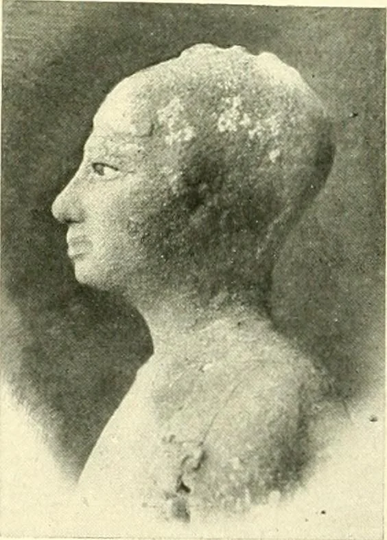 An illustration from Égypte, 1911, leaf 92