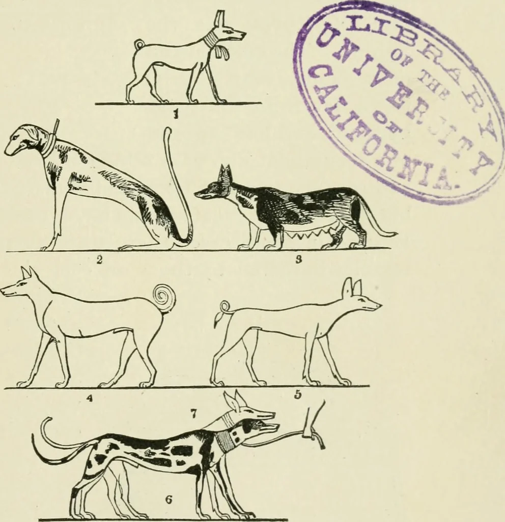 An illustration from An outline history of sculpture for beginners and students, with complete indexes and numerous illustrations, 1893, leaf 17