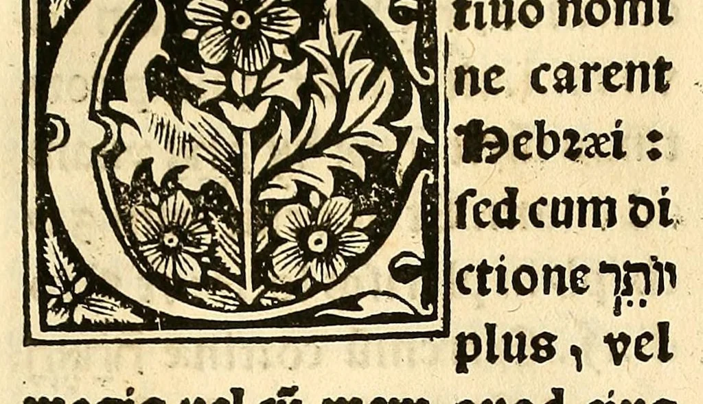 An illustration from Habes hoc in libro ca[n]dide lector Hebraicas institutiones. : in quib[us] quicquid est gra[m]matices hebraicæ facultatis edocetur ad amussim, de literis, punctis, acce[n]tibus, nomine, [et] nominum speciebus, de pronominibus, [et] eoru[mque] cu[m] nominibus, [et] verbis coniu[n]ctione, de verbo [et] verboru[m] co[n]iugationibus, [et] distinctione, in perfecta, quiescentia, defectiua, geminata, de partibus indeclinabilibus, præpositionibus, co[n]iu[n]ctio[n]ibus, aduerbijs, de regulis expone[n]di arcanas literas [et] de figuris, vt paucissima sint desidera[n]da, quas nuper ædidit reuere[n]dus sacræ theolo. do. Sanctes Pagninus .., 1526, leaf 101