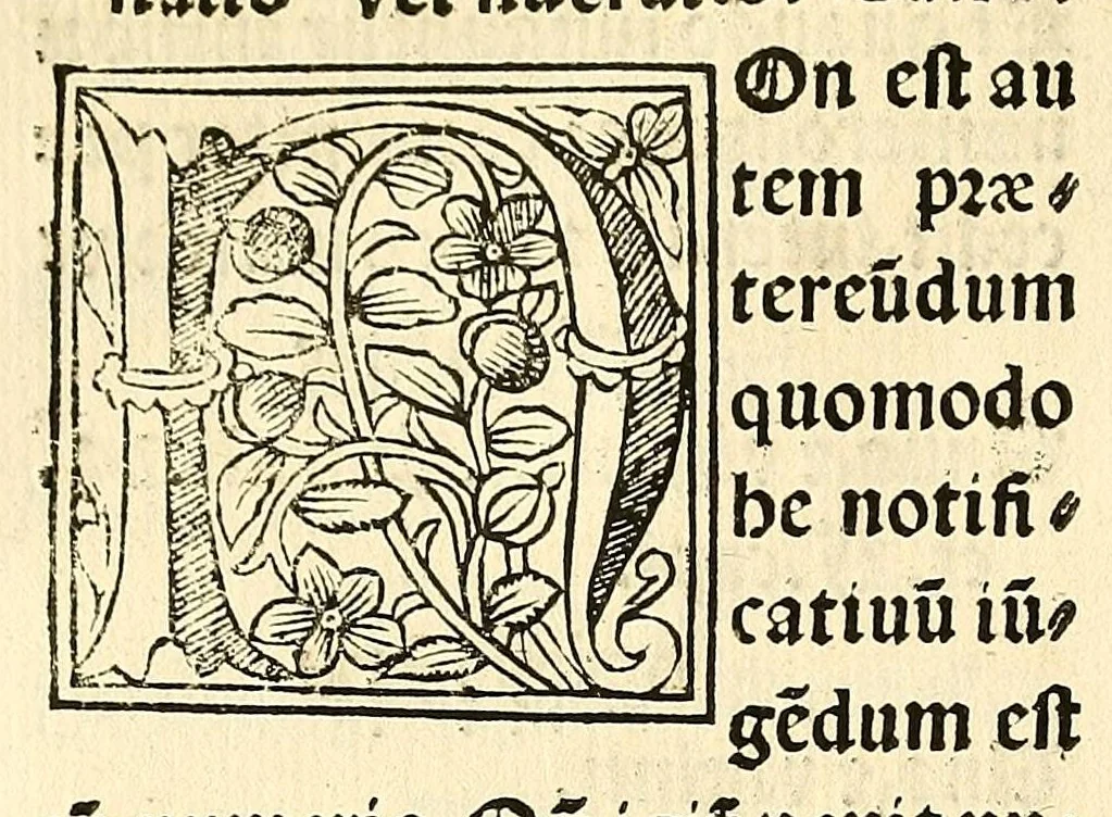 An illustration from Habes hoc in libro ca[n]dide lector Hebraicas institutiones. : in quib[us] quicquid est gra[m]matices hebraicæ facultatis edocetur ad amussim, de literis, punctis, acce[n]tibus, nomine, [et] nominum speciebus, de pronominibus, [et] eoru[mque] cu[m] nominibus, [et] verbis coniu[n]ctione, de verbo [et] verboru[m] co[n]iugationibus, [et] distinctione, in perfecta, quiescentia, defectiua, geminata, de partibus indeclinabilibus, præpositionibus, co[n]iu[n]ctio[n]ibus, aduerbijs, de regulis expone[n]di arcanas literas [et] de figuris, vt paucissima sint desidera[n]da, quas nuper ædidit reuere[n]dus sacræ theolo. do. Sanctes Pagninus .., 1526, leaf 107
