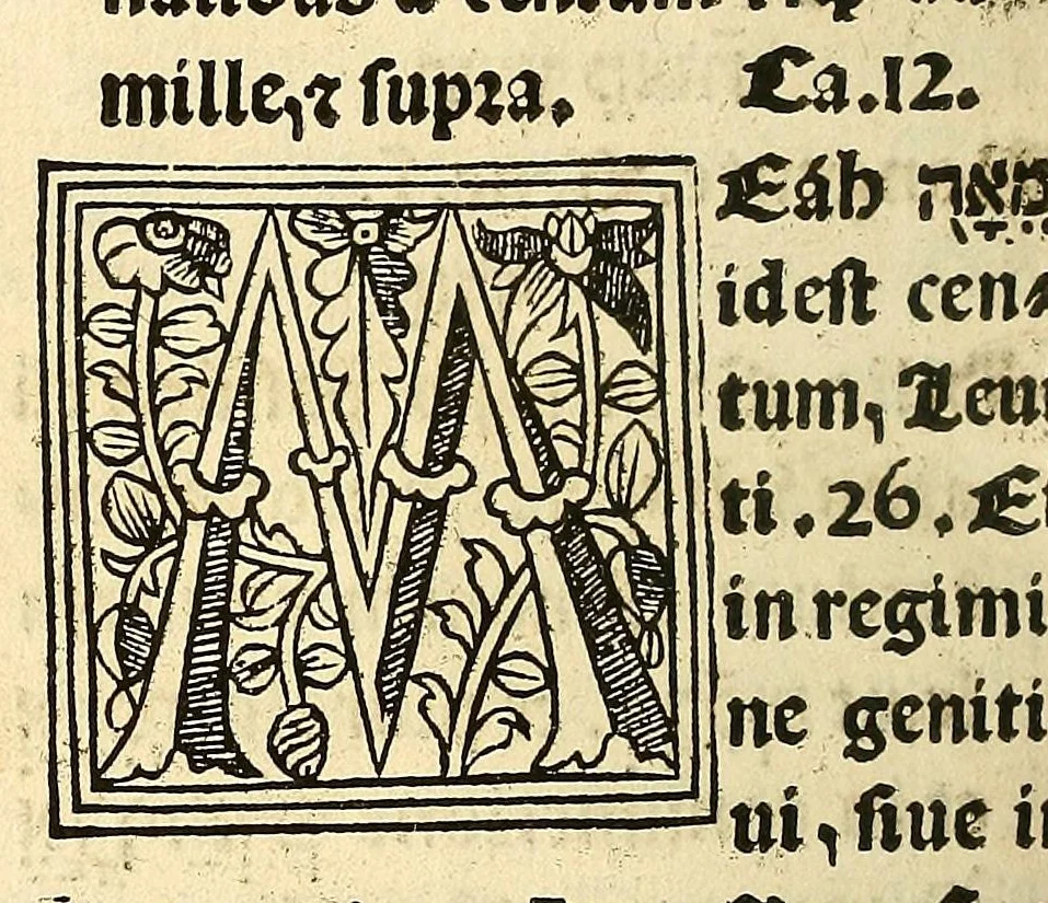 An illustration from Habes hoc in libro ca[n]dide lector Hebraicas institutiones. : in quib[us] quicquid est gra[m]matices hebraicæ facultatis edocetur ad amussim, de literis, punctis, acce[n]tibus, nomine, [et] nominum speciebus, de pronominibus, [et] eoru[mque] cu[m] nominibus, [et] verbis coniu[n]ctione, de verbo [et] verboru[m] co[n]iugationibus, [et] distinctione, in perfecta, quiescentia, defectiua, geminata, de partibus indeclinabilibus, præpositionibus, co[n]iu[n]ctio[n]ibus, aduerbijs, de regulis expone[n]di arcanas literas [et] de figuris, vt paucissima sint desidera[n]da, quas nuper ædidit reuere[n]dus sacræ theolo. do. Sanctes Pagninus .., 1526, leaf 113