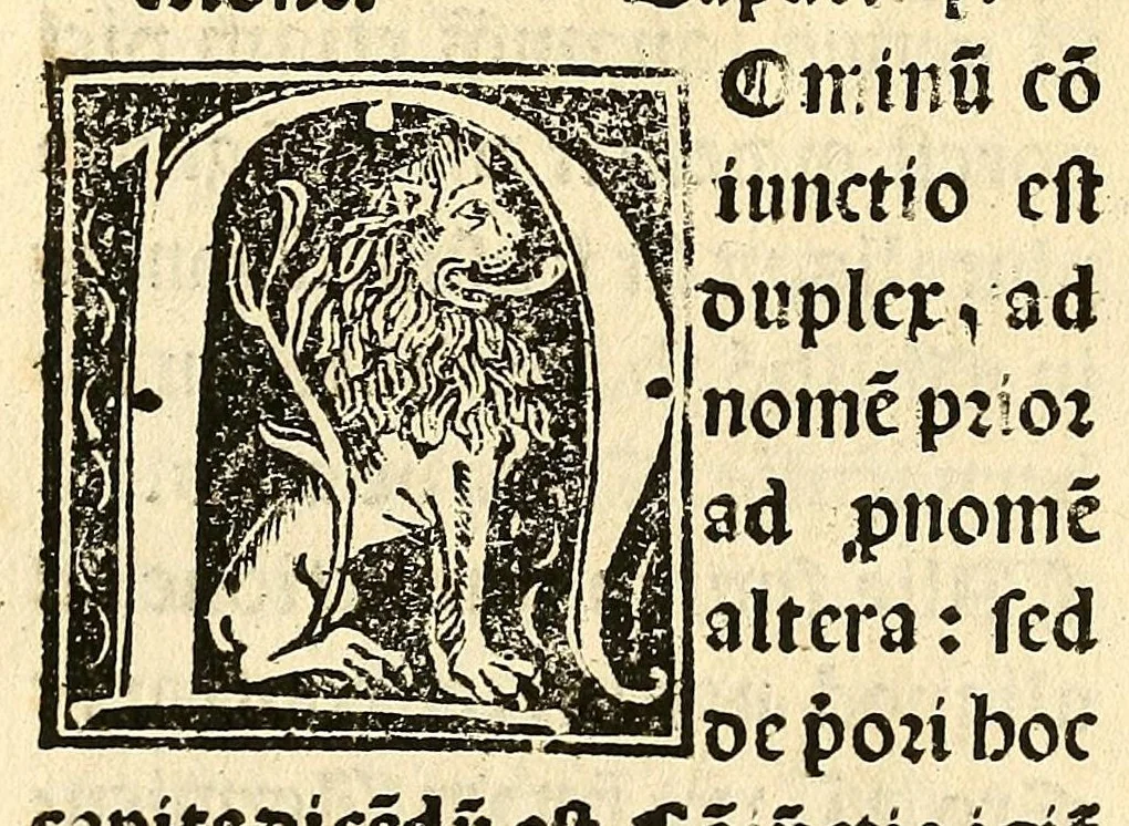 An illustration from Habes hoc in libro ca[n]dide lector Hebraicas institutiones. : in quib[us] quicquid est gra[m]matices hebraicæ facultatis edocetur ad amussim, de literis, punctis, acce[n]tibus, nomine, [et] nominum speciebus, de pronominibus, [et] eoru[mque] cu[m] nominibus, [et] verbis coniu[n]ctione, de verbo [et] verboru[m] co[n]iugationibus, [et] distinctione, in perfecta, quiescentia, defectiua, geminata, de partibus indeclinabilibus, præpositionibus, co[n]iu[n]ctio[n]ibus, aduerbijs, de regulis expone[n]di arcanas literas [et] de figuris, vt paucissima sint desidera[n]da, quas nuper ædidit reuere[n]dus sacræ theolo. do. Sanctes Pagninus .., 1526, leaf 119