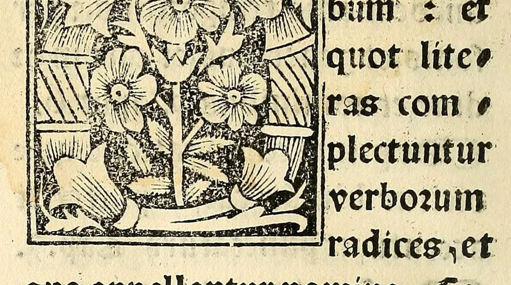An illustration from Habes hoc in libro ca[n]dide lector Hebraicas institutiones. : in quib[us] quicquid est gra[m]matices hebraicæ facultatis edocetur ad amussim, de literis, punctis, acce[n]tibus, nomine, [et] nominum speciebus, de pronominibus, [et] eoru[mque] cu[m] nominibus, [et] verbis coniu[n]ctione, de verbo [et] verboru[m] co[n]iugationibus, [et] distinctione, in perfecta, quiescentia, defectiua, geminata, de partibus indeclinabilibus, præpositionibus, co[n]iu[n]ctio[n]ibus, aduerbijs, de regulis expone[n]di arcanas literas [et] de figuris, vt paucissima sint desidera[n]da, quas nuper ædidit reuere[n]dus sacræ theolo. do. Sanctes Pagninus .., 1526, leaf 13