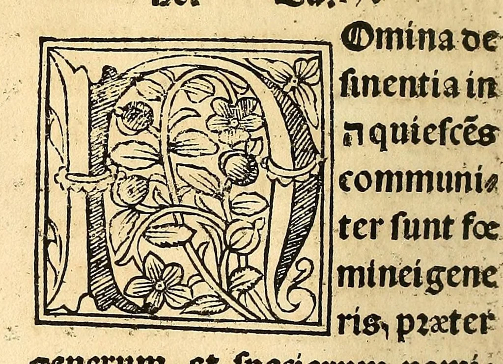 An illustration from Habes hoc in libro ca[n]dide lector Hebraicas institutiones. : in quib[us] quicquid est gra[m]matices hebraicæ facultatis edocetur ad amussim, de literis, punctis, acce[n]tibus, nomine, [et] nominum speciebus, de pronominibus, [et] eoru[mque] cu[m] nominibus, [et] verbis coniu[n]ctione, de verbo [et] verboru[m] co[n]iugationibus, [et] distinctione, in perfecta, quiescentia, defectiua, geminata, de partibus indeclinabilibus, præpositionibus, co[n]iu[n]ctio[n]ibus, aduerbijs, de regulis expone[n]di arcanas literas [et] de figuris, vt paucissima sint desidera[n]da, quas nuper ædidit reuere[n]dus sacræ theolo. do. Sanctes Pagninus .., 1526, leaf 147