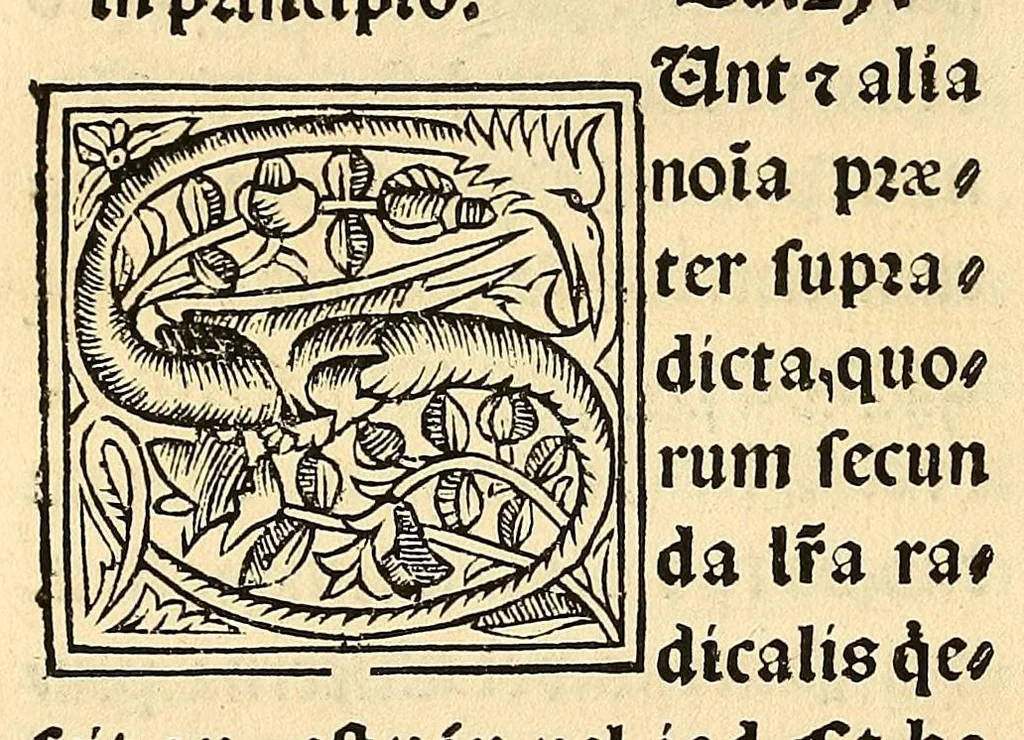 An illustration from Habes hoc in libro ca[n]dide lector Hebraicas institutiones. : in quib[us] quicquid est gra[m]matices hebraicæ facultatis edocetur ad amussim, de literis, punctis, acce[n]tibus, nomine, [et] nominum speciebus, de pronominibus, [et] eoru[mque] cu[m] nominibus, [et] verbis coniu[n]ctione, de verbo [et] verboru[m] co[n]iugationibus, [et] distinctione, in perfecta, quiescentia, defectiua, geminata, de partibus indeclinabilibus, præpositionibus, co[n]iu[n]ctio[n]ibus, aduerbijs, de regulis expone[n]di arcanas literas [et] de figuris, vt paucissima sint desidera[n]da, quas nuper ædidit reuere[n]dus sacræ theolo. do. Sanctes Pagninus .., 1526, leaf 179