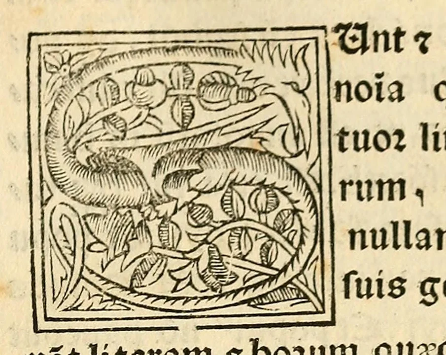 An illustration from Habes hoc in libro ca[n]dide lector Hebraicas institutiones. : in quib[us] quicquid est gra[m]matices hebraicæ facultatis edocetur ad amussim, de literis, punctis, acce[n]tibus, nomine, [et] nominum speciebus, de pronominibus, [et] eoru[mque] cu[m] nominibus, [et] verbis coniu[n]ctione, de verbo [et] verboru[m] co[n]iugationibus, [et] distinctione, in perfecta, quiescentia, defectiua, geminata, de partibus indeclinabilibus, præpositionibus, co[n]iu[n]ctio[n]ibus, aduerbijs, de regulis expone[n]di arcanas literas [et] de figuris, vt paucissima sint desidera[n]da, quas nuper ædidit reuere[n]dus sacræ theolo. do. Sanctes Pagninus .., 1526, leaf 208