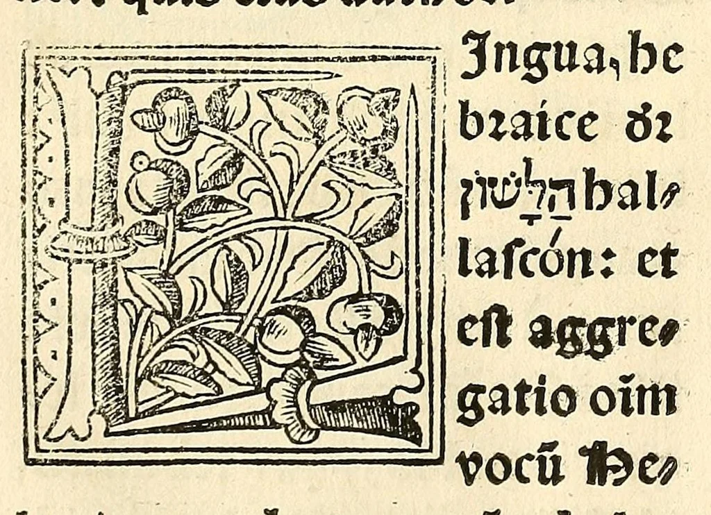 An illustration from Habes hoc in libro ca[n]dide lector Hebraicas institutiones. : in quib[us] quicquid est gra[m]matices hebraicæ facultatis edocetur ad amussim, de literis, punctis, acce[n]tibus, nomine, [et] nominum speciebus, de pronominibus, [et] eoru[mque] cu[m] nominibus, [et] verbis coniu[n]ctione, de verbo [et] verboru[m] co[n]iugationibus, [et] distinctione, in perfecta, quiescentia, defectiua, geminata, de partibus indeclinabilibus, præpositionibus, co[n]iu[n]ctio[n]ibus, aduerbijs, de regulis expone[n]di arcanas literas [et] de figuris, vt paucissima sint desidera[n]da, quas nuper ædidit reuere[n]dus sacræ theolo. do. Sanctes Pagninus .., 1526, leaf 21