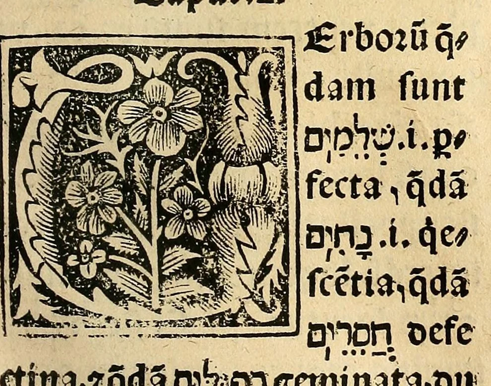 An illustration from Habes hoc in libro ca[n]dide lector Hebraicas institutiones. : in quib[us] quicquid est gra[m]matices hebraicæ facultatis edocetur ad amussim, de literis, punctis, acce[n]tibus, nomine, [et] nominum speciebus, de pronominibus, [et] eoru[mque] cu[m] nominibus, [et] verbis coniu[n]ctione, de verbo [et] verboru[m] co[n]iugationibus, [et] distinctione, in perfecta, quiescentia, defectiua, geminata, de partibus indeclinabilibus, præpositionibus, co[n]iu[n]ctio[n]ibus, aduerbijs, de regulis expone[n]di arcanas literas [et] de figuris, vt paucissima sint desidera[n]da, quas nuper ædidit reuere[n]dus sacræ theolo. do. Sanctes Pagninus .., 1526, leaf 218