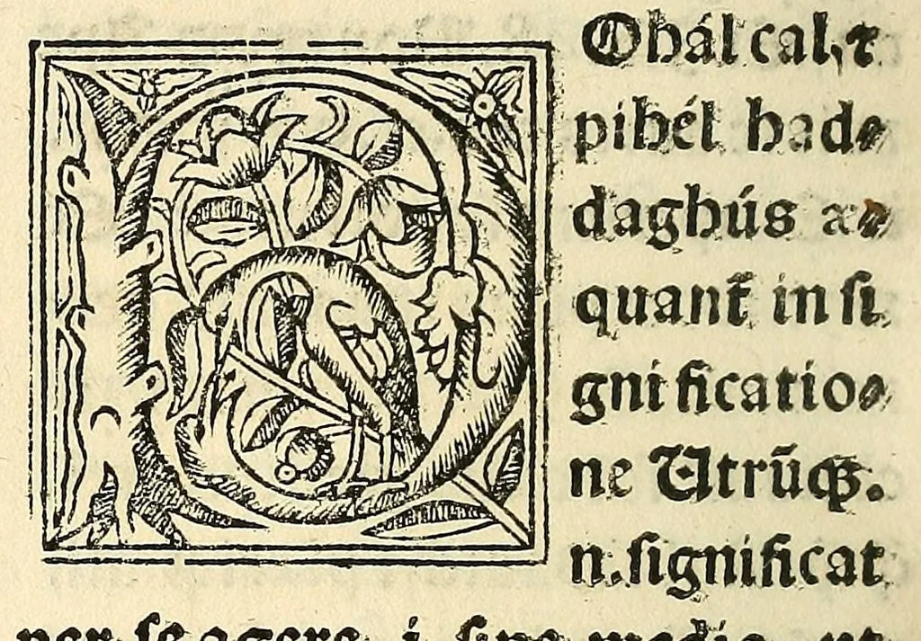 An illustration from Habes hoc in libro ca[n]dide lector Hebraicas institutiones. : in quib[us] quicquid est gra[m]matices hebraicæ facultatis edocetur ad amussim, de literis, punctis, acce[n]tibus, nomine, [et] nominum speciebus, de pronominibus, [et] eoru[mque] cu[m] nominibus, [et] verbis coniu[n]ctione, de verbo [et] verboru[m] co[n]iugationibus, [et] distinctione, in perfecta, quiescentia, defectiua, geminata, de partibus indeclinabilibus, præpositionibus, co[n]iu[n]ctio[n]ibus, aduerbijs, de regulis expone[n]di arcanas literas [et] de figuris, vt paucissima sint desidera[n]da, quas nuper ædidit reuere[n]dus sacræ theolo. do. Sanctes Pagninus .., 1526, leaf 233