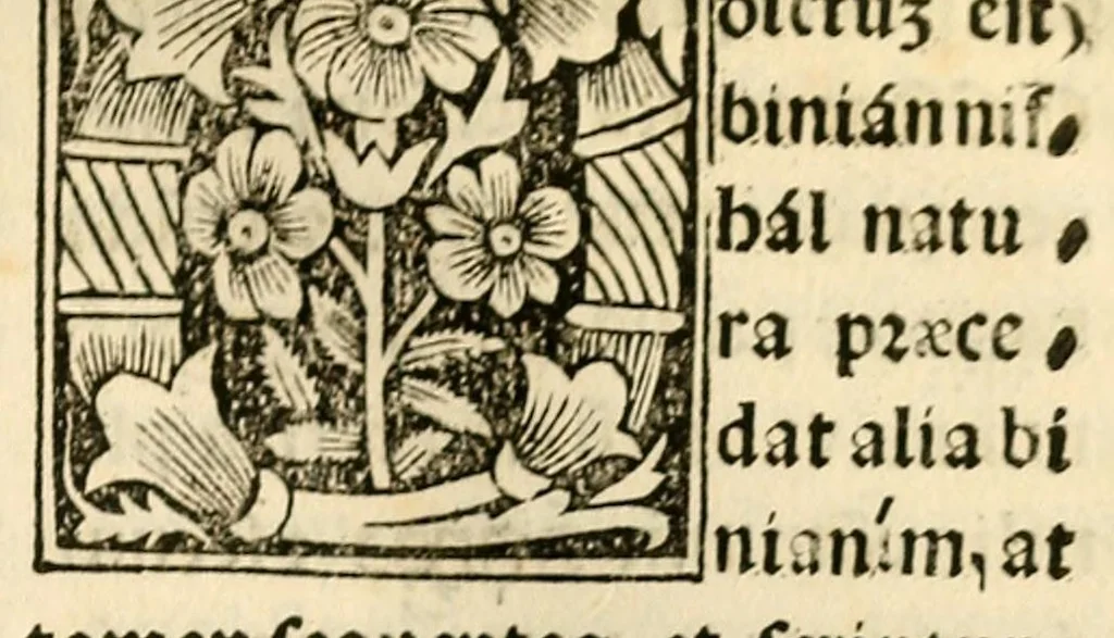 An illustration from Habes hoc in libro ca[n]dide lector Hebraicas institutiones. : in quib[us] quicquid est gra[m]matices hebraicæ facultatis edocetur ad amussim, de literis, punctis, acce[n]tibus, nomine, [et] nominum speciebus, de pronominibus, [et] eoru[mque] cu[m] nominibus, [et] verbis coniu[n]ctione, de verbo [et] verboru[m] co[n]iugationibus, [et] distinctione, in perfecta, quiescentia, defectiua, geminata, de partibus indeclinabilibus, præpositionibus, co[n]iu[n]ctio[n]ibus, aduerbijs, de regulis expone[n]di arcanas literas [et] de figuris, vt paucissima sint desidera[n]da, quas nuper ædidit reuere[n]dus sacræ theolo. do. Sanctes Pagninus .., 1526, leaf 240