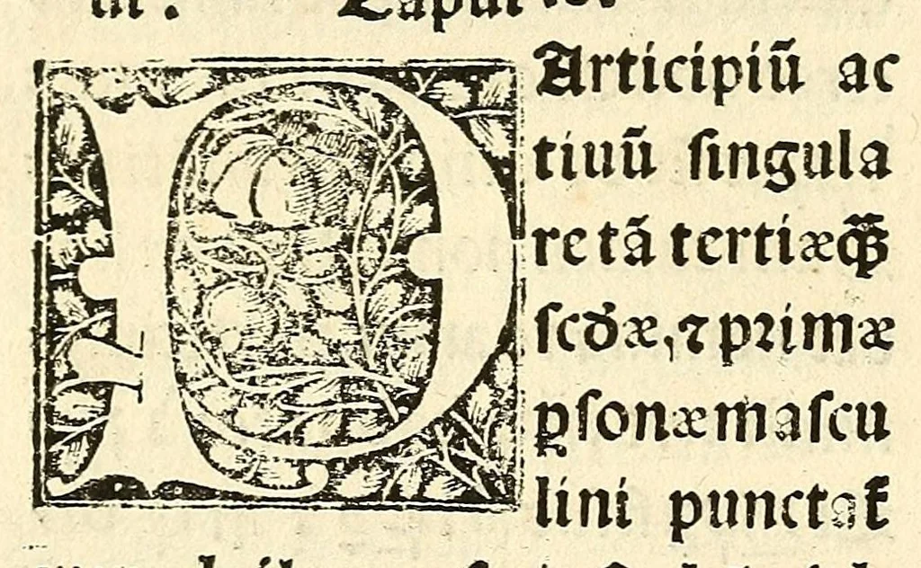 An illustration from Habes hoc in libro ca[n]dide lector Hebraicas institutiones. : in quib[us] quicquid est gra[m]matices hebraicæ facultatis edocetur ad amussim, de literis, punctis, acce[n]tibus, nomine, [et] nominum speciebus, de pronominibus, [et] eoru[mque] cu[m] nominibus, [et] verbis coniu[n]ctione, de verbo [et] verboru[m] co[n]iugationibus, [et] distinctione, in perfecta, quiescentia, defectiua, geminata, de partibus indeclinabilibus, præpositionibus, co[n]iu[n]ctio[n]ibus, aduerbijs, de regulis expone[n]di arcanas literas [et] de figuris, vt paucissima sint desidera[n]da, quas nuper ædidit reuere[n]dus sacræ theolo. do. Sanctes Pagninus .., 1526, leaf 247