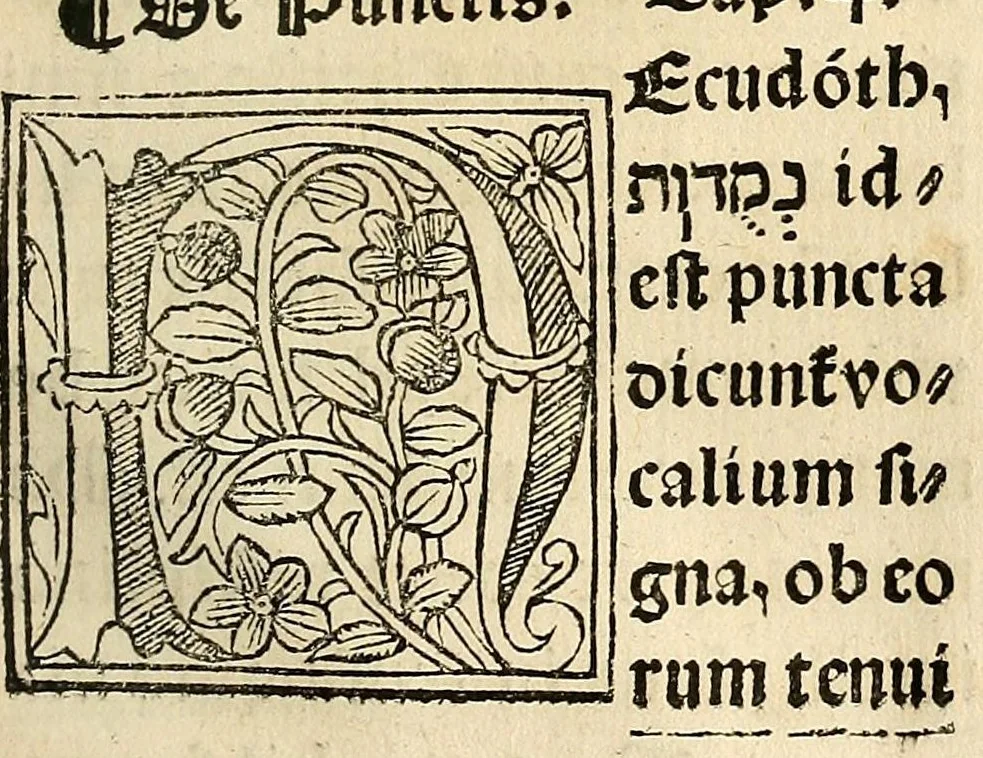 An illustration from Habes hoc in libro ca[n]dide lector Hebraicas institutiones. : in quib[us] quicquid est gra[m]matices hebraicæ facultatis edocetur ad amussim, de literis, punctis, acce[n]tibus, nomine, [et] nominum speciebus, de pronominibus, [et] eoru[mque] cu[m] nominibus, [et] verbis coniu[n]ctione, de verbo [et] verboru[m] co[n]iugationibus, [et] distinctione, in perfecta, quiescentia, defectiua, geminata, de partibus indeclinabilibus, præpositionibus, co[n]iu[n]ctio[n]ibus, aduerbijs, de regulis expone[n]di arcanas literas [et] de figuris, vt paucissima sint desidera[n]da, quas nuper ædidit reuere[n]dus sacræ theolo. do. Sanctes Pagninus .., 1526, leaf 26