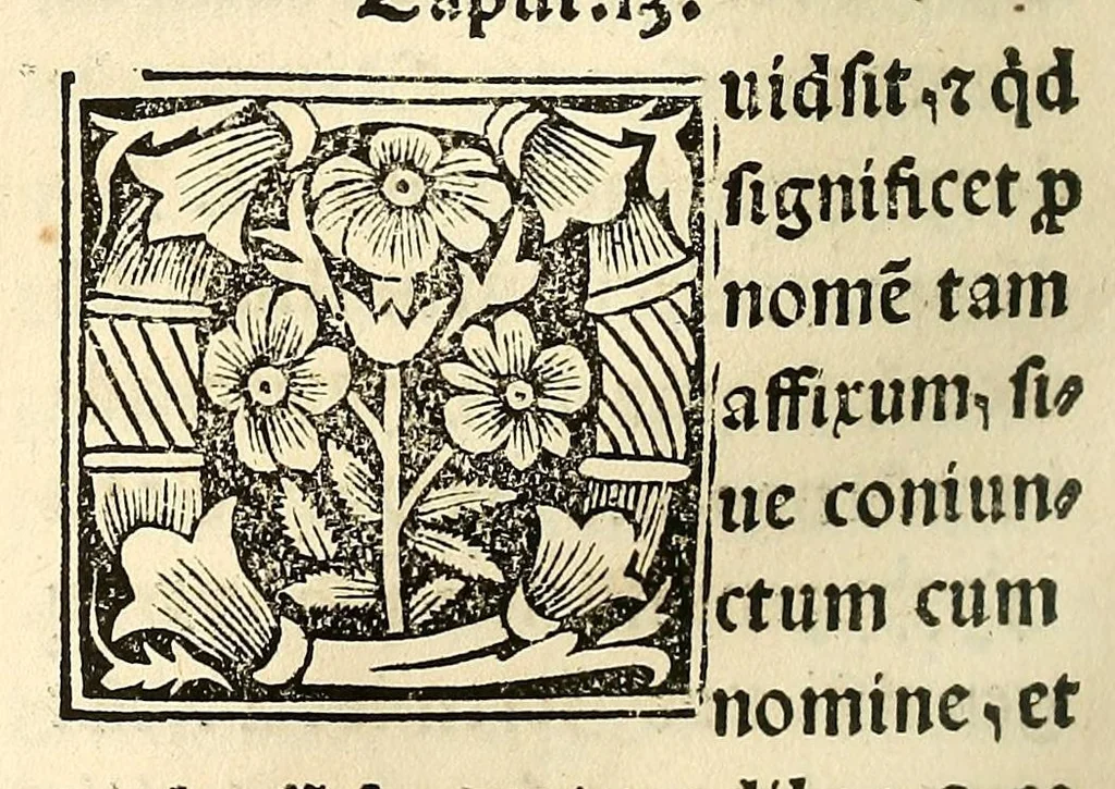 An illustration from Habes hoc in libro ca[n]dide lector Hebraicas institutiones. : in quib[us] quicquid est gra[m]matices hebraicæ facultatis edocetur ad amussim, de literis, punctis, acce[n]tibus, nomine, [et] nominum speciebus, de pronominibus, [et] eoru[mque] cu[m] nominibus, [et] verbis coniu[n]ctione, de verbo [et] verboru[m] co[n]iugationibus, [et] distinctione, in perfecta, quiescentia, defectiua, geminata, de partibus indeclinabilibus, præpositionibus, co[n]iu[n]ctio[n]ibus, aduerbijs, de regulis expone[n]di arcanas literas [et] de figuris, vt paucissima sint desidera[n]da, quas nuper ædidit reuere[n]dus sacræ theolo. do. Sanctes Pagninus .., 1526, leaf 265