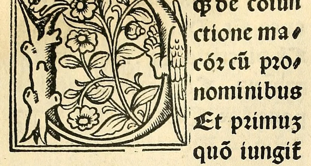An illustration from Habes hoc in libro ca[n]dide lector Hebraicas institutiones. : in quib[us] quicquid est gra[m]matices hebraicæ facultatis edocetur ad amussim, de literis, punctis, acce[n]tibus, nomine, [et] nominum speciebus, de pronominibus, [et] eoru[mque] cu[m] nominibus, [et] verbis coniu[n]ctione, de verbo [et] verboru[m] co[n]iugationibus, [et] distinctione, in perfecta, quiescentia, defectiua, geminata, de partibus indeclinabilibus, præpositionibus, co[n]iu[n]ctio[n]ibus, aduerbijs, de regulis expone[n]di arcanas literas [et] de figuris, vt paucissima sint desidera[n]da, quas nuper ædidit reuere[n]dus sacræ theolo. do. Sanctes Pagninus .., 1526, leaf 277