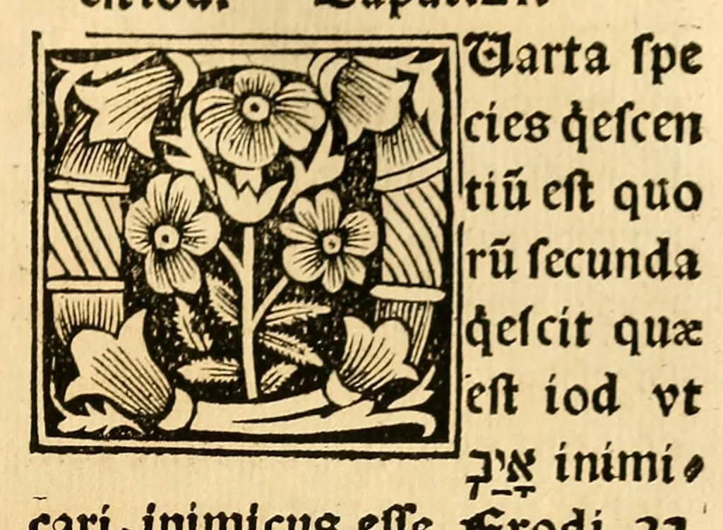 An illustration from Habes hoc in libro ca[n]dide lector Hebraicas institutiones. : in quib[us] quicquid est gra[m]matices hebraicæ facultatis edocetur ad amussim, de literis, punctis, acce[n]tibus, nomine, [et] nominum speciebus, de pronominibus, [et] eoru[mque] cu[m] nominibus, [et] verbis coniu[n]ctione, de verbo [et] verboru[m] co[n]iugationibus, [et] distinctione, in perfecta, quiescentia, defectiua, geminata, de partibus indeclinabilibus, præpositionibus, co[n]iu[n]ctio[n]ibus, aduerbijs, de regulis expone[n]di arcanas literas [et] de figuris, vt paucissima sint desidera[n]da, quas nuper ædidit reuere[n]dus sacræ theolo. do. Sanctes Pagninus .., 1526, leaf 294