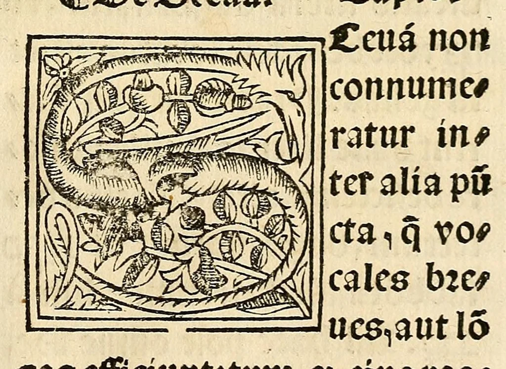 An illustration from Habes hoc in libro ca[n]dide lector Hebraicas institutiones. : in quib[us] quicquid est gra[m]matices hebraicæ facultatis edocetur ad amussim, de literis, punctis, acce[n]tibus, nomine, [et] nominum speciebus, de pronominibus, [et] eoru[mque] cu[m] nominibus, [et] verbis coniu[n]ctione, de verbo [et] verboru[m] co[n]iugationibus, [et] distinctione, in perfecta, quiescentia, defectiua, geminata, de partibus indeclinabilibus, præpositionibus, co[n]iu[n]ctio[n]ibus, aduerbijs, de regulis expone[n]di arcanas literas [et] de figuris, vt paucissima sint desidera[n]da, quas nuper ædidit reuere[n]dus sacræ theolo. do. Sanctes Pagninus .., 1526, leaf 30