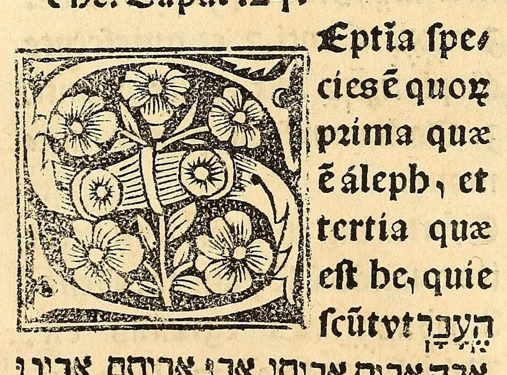 An illustration from Habes hoc in libro ca[n]dide lector Hebraicas institutiones. : in quib[us] quicquid est gra[m]matices hebraicæ facultatis edocetur ad amussim, de literis, punctis, acce[n]tibus, nomine, [et] nominum speciebus, de pronominibus, [et] eoru[mque] cu[m] nominibus, [et] verbis coniu[n]ctione, de verbo [et] verboru[m] co[n]iugationibus, [et] distinctione, in perfecta, quiescentia, defectiua, geminata, de partibus indeclinabilibus, præpositionibus, co[n]iu[n]ctio[n]ibus, aduerbijs, de regulis expone[n]di arcanas literas [et] de figuris, vt paucissima sint desidera[n]da, quas nuper ædidit reuere[n]dus sacræ theolo. do. Sanctes Pagninus .., 1526, leaf 305