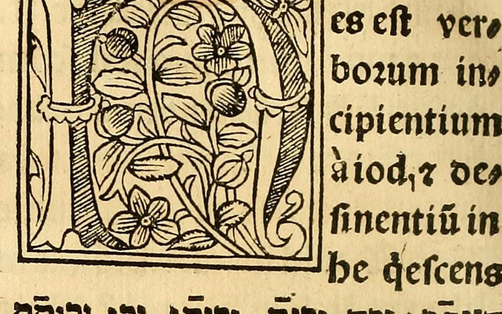 An illustration from Habes hoc in libro ca[n]dide lector Hebraicas institutiones. : in quib[us] quicquid est gra[m]matices hebraicæ facultatis edocetur ad amussim, de literis, punctis, acce[n]tibus, nomine, [et] nominum speciebus, de pronominibus, [et] eoru[mque] cu[m] nominibus, [et] verbis coniu[n]ctione, de verbo [et] verboru[m] co[n]iugationibus, [et] distinctione, in perfecta, quiescentia, defectiua, geminata, de partibus indeclinabilibus, præpositionibus, co[n]iu[n]ctio[n]ibus, aduerbijs, de regulis expone[n]di arcanas literas [et] de figuris, vt paucissima sint desidera[n]da, quas nuper ædidit reuere[n]dus sacræ theolo. do. Sanctes Pagninus .., 1526, leaf 307